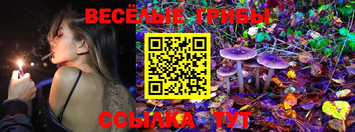 Псилоцибиновые грибы GOLDEN TEACHER  Вход с VPN  Псилоцибиновые грибы MAGIC MUSHROOMS  Ипатово 